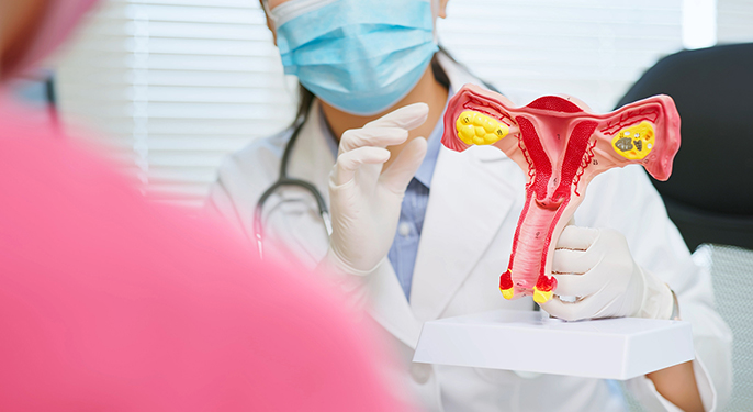 醫師拿著子宮模型向患者說明